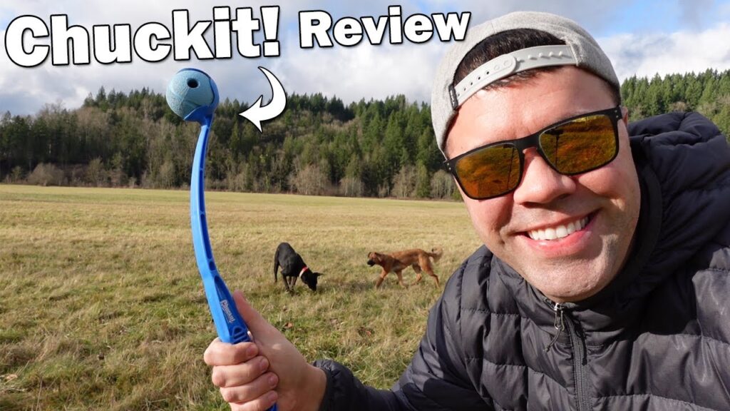 Chuckit Balls for Dogs Reviews