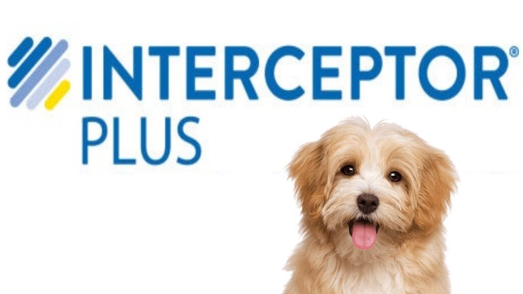 Interceptor Plus Soft Chews Reviews